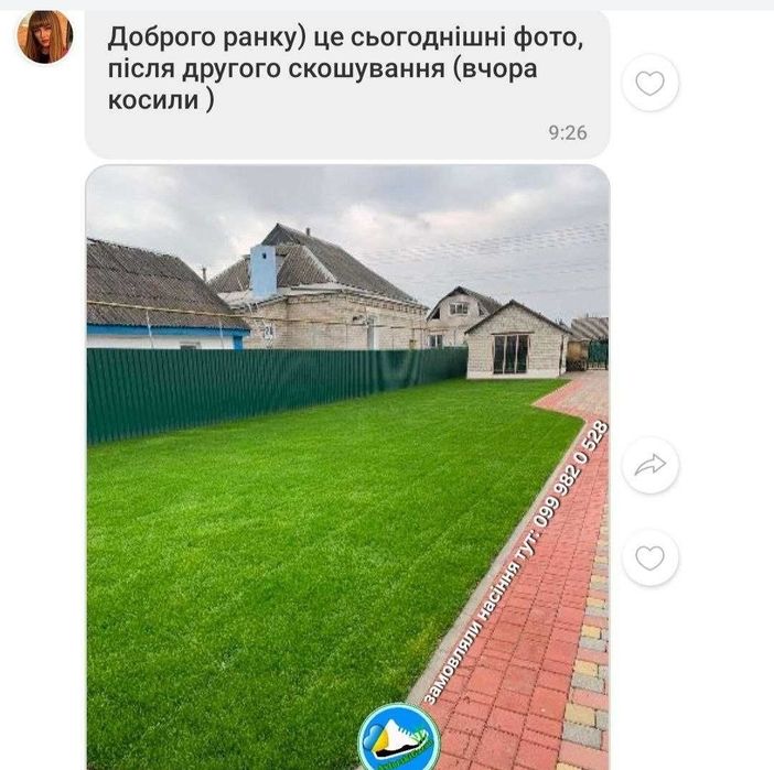 Газонна трава спорт міні насіння семена газон супер качество от 5кг