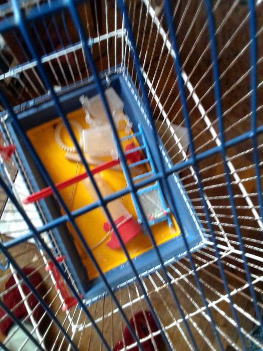 Клетка для попугаев