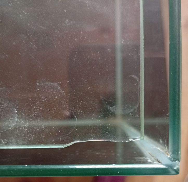 Terrarium dla patyczaka bądź rybki
