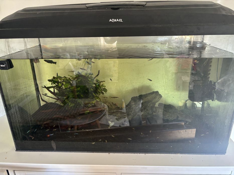 Akwarium kompletne