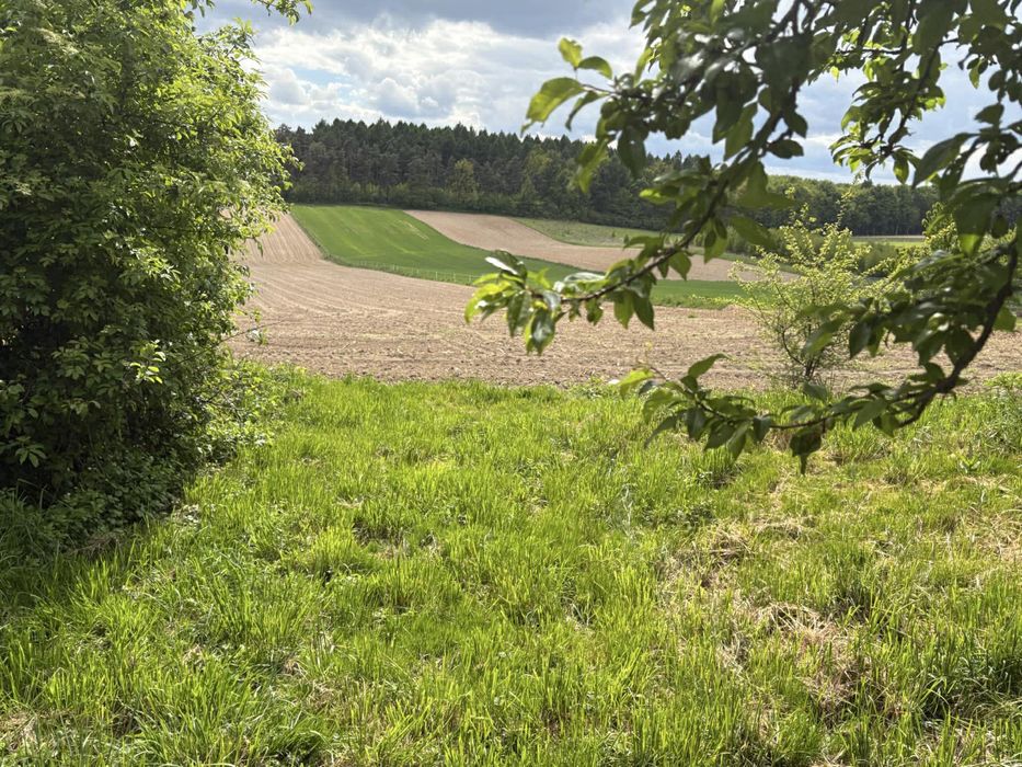 Dzialka budowlana Zadroże Trzyciąż Skała
