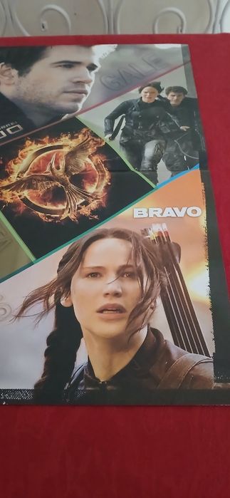 Poster Sinsajo - Katniss e Gale, novo