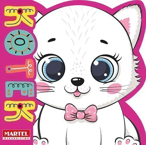 Kotek Salamon Katarzyna