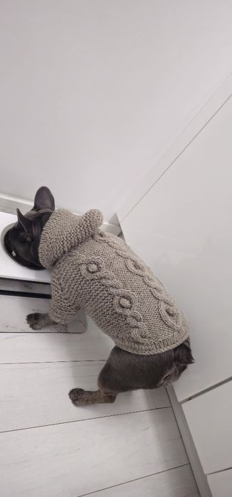 Свитер новый для животных собаки, кота , одежда ручной работы