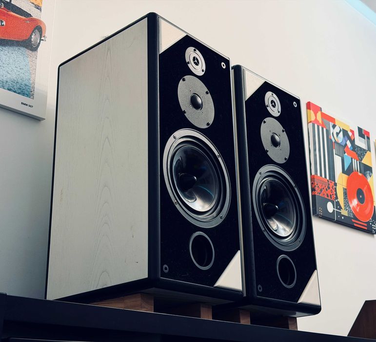 ‼️ Hi-End акустика Audax France ручной сборки Франция, видео звучания!