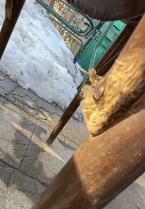 Продам стулья под реставрацию