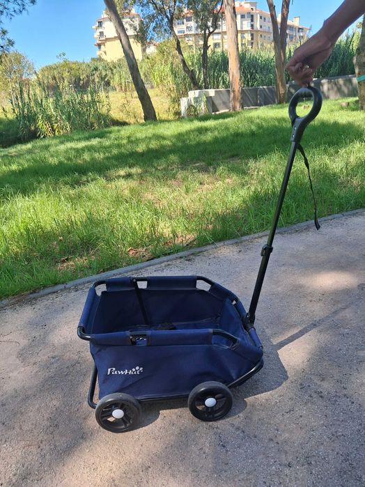 Carrinho de passeio para cães de raça pequena