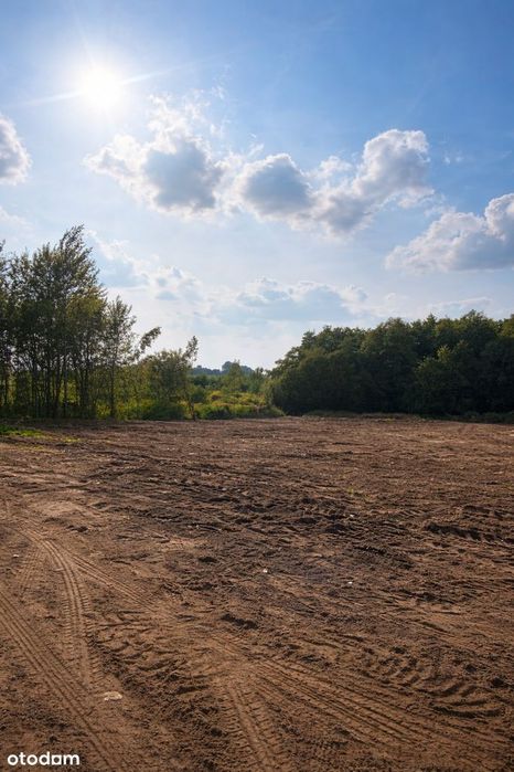 3 Działki budowlane z pozwoleniem na budowę Nowe Bielice 9ar. Łąka las - Widok 4