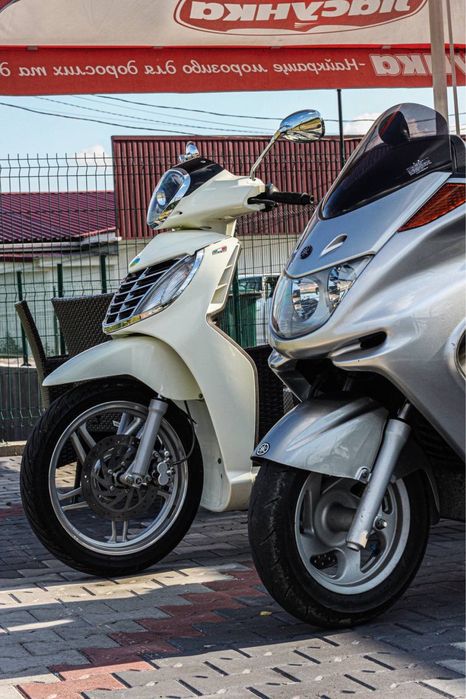 Yamaha majesty..