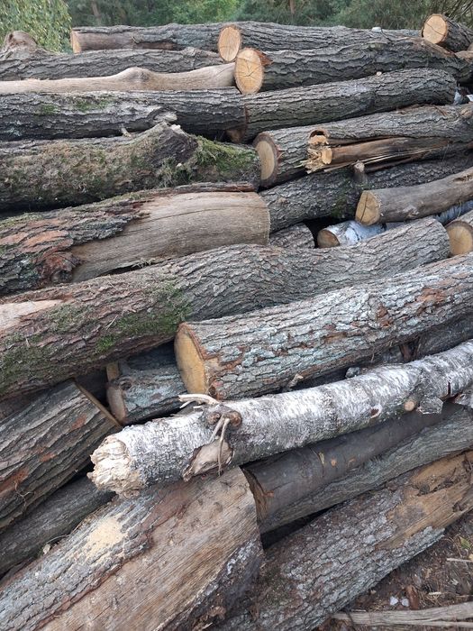 Sprzedam  Drewno opałowe