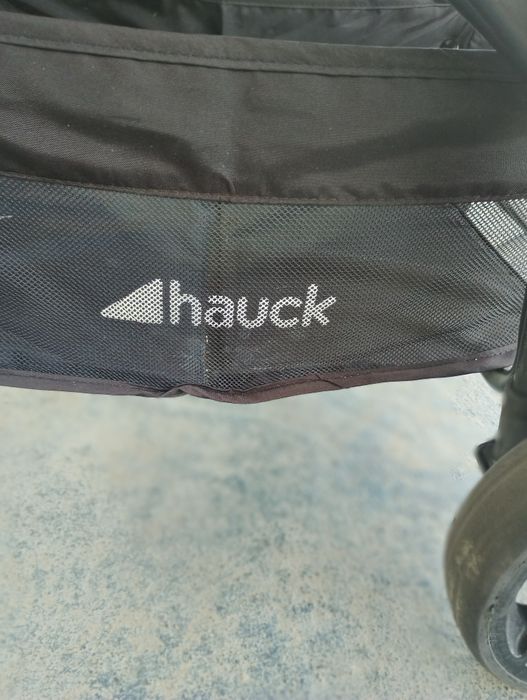 Spacerówka że Szwajcarii