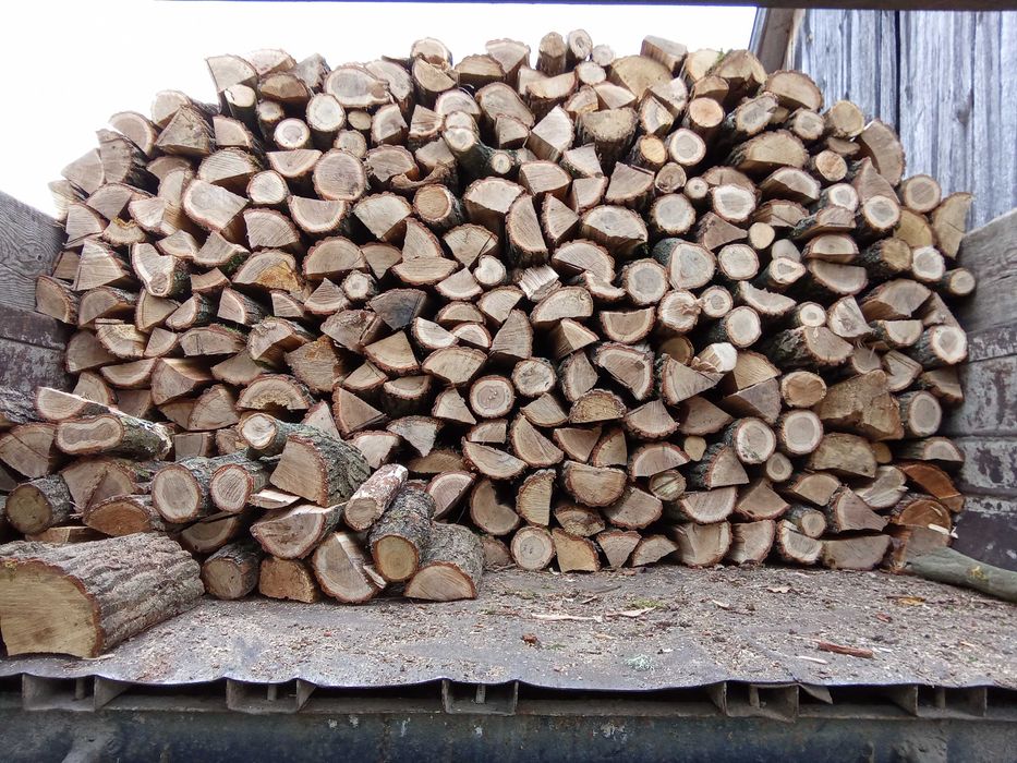 Дрова різних порід(дуб,граб,ясен,вільха,береза,сосна)Недорого!