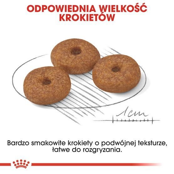 Karma opracowana dla psów małych ras po 12 roku życia Royal Canin 800g