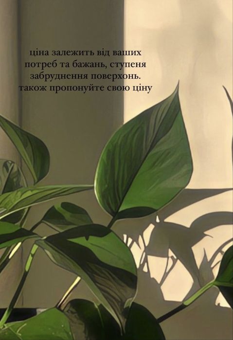 Клінінг, прибирання, чистка меблів.
