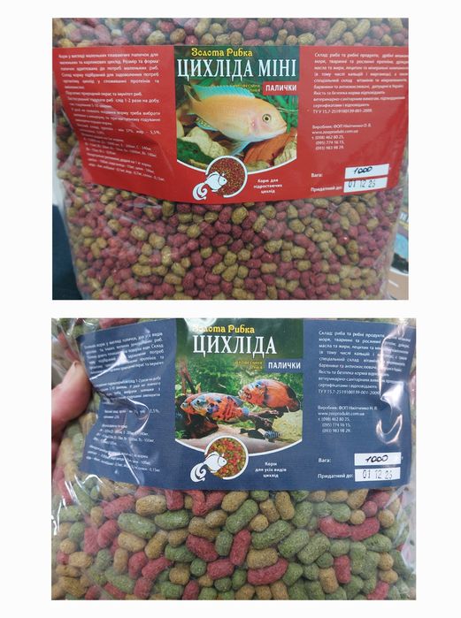 Тетра Цихлід, Золота рибка для Черепах, Кої, Цихлід