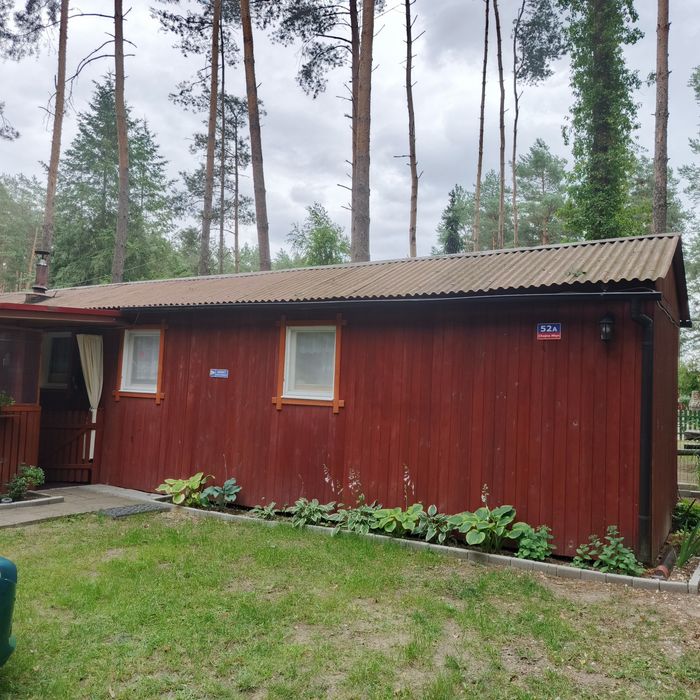 Sprzedam domek w Chojnie