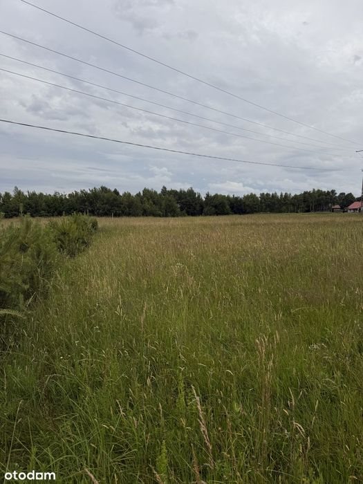 Widokowa działka w Sołonce z WARUNKAMI ZABUDOWY - 19 ar