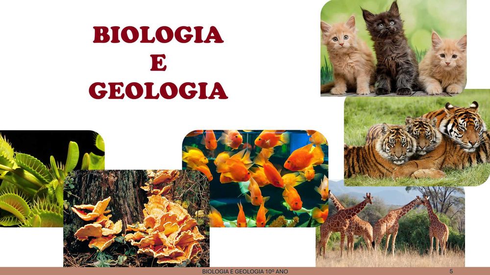 Explicações Biologia e Geologia | secundário e preparação para exame
