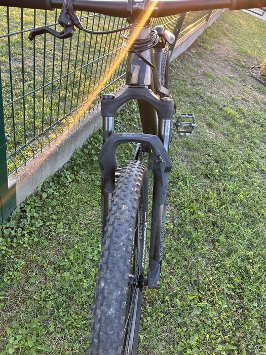 Dirt rose the bruce 2