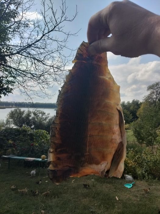 Тушонка из карпа, очень вкусная.