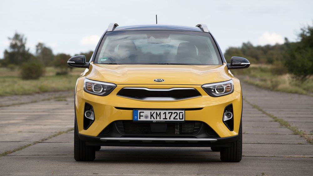 Zdjecie w galerii numer 6