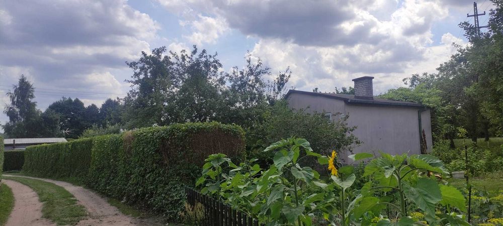 Działka ROD, domek murowany, szklarnia, blisko parkingu