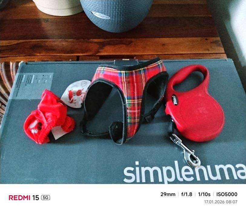 Zestaw szelki, smycz, majtki na cieczkę dla psa