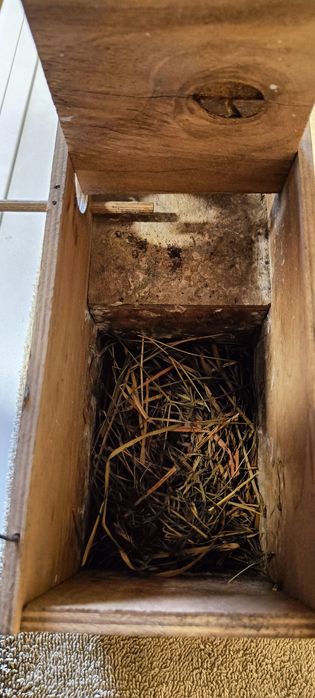 Sprzedam budki lęgowe dla ptaków oraz pokarm  Deli naturę 84 dla amady