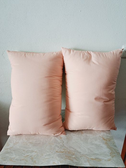 2 almofadas decorativas