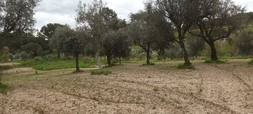 Terreno para venda