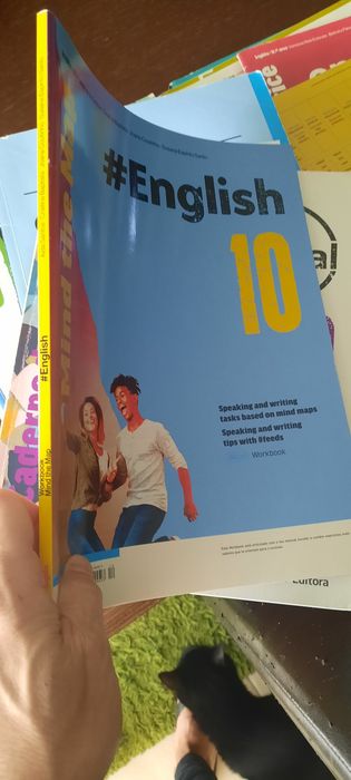 Cadernos de fichas 10 ano