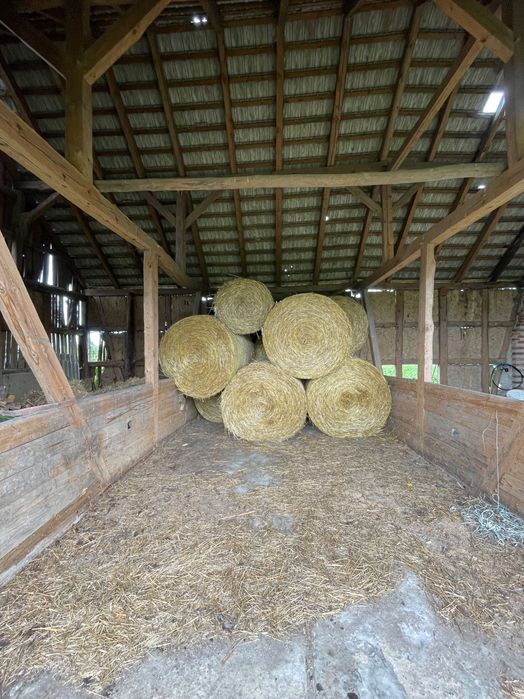 Słoma Owsiana 2025 sucha