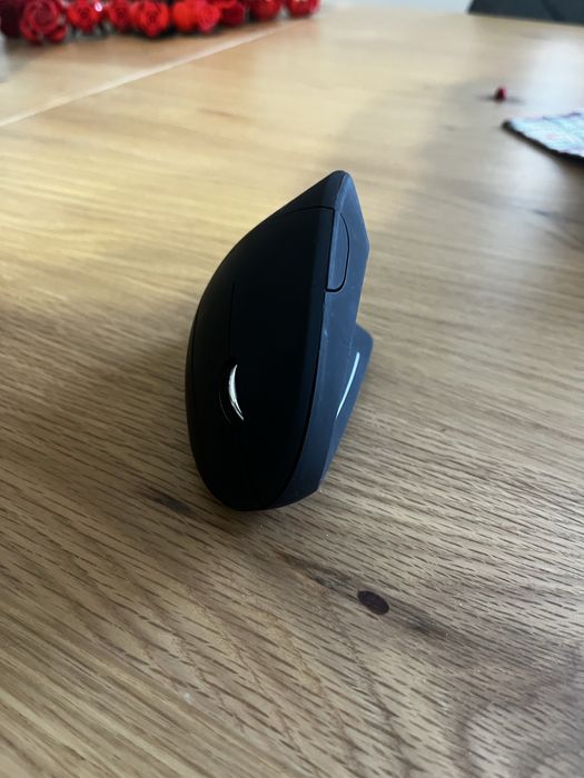 Gembird Ergonomic Mouse437239837035735042