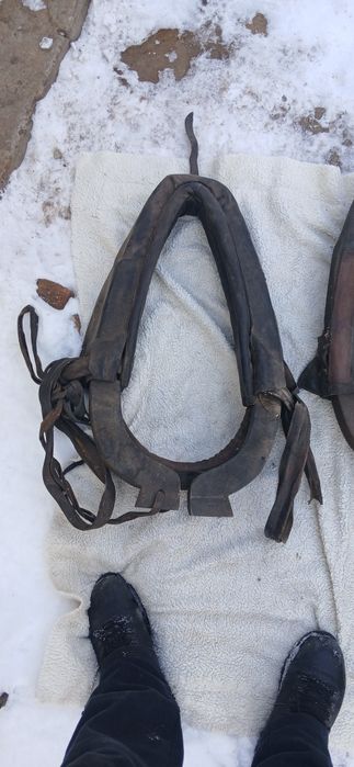 Продам збрую для коня ціна за всі