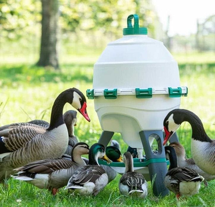 Poidło dla kur syfonowe na nóżkach zasobnik 25 l OPTIMUS