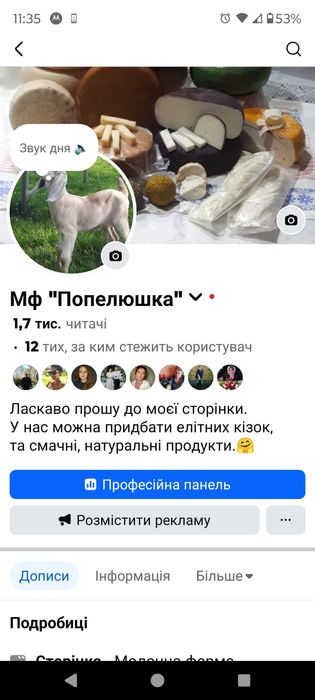 Продам кози, 100% А.Н. цапа.