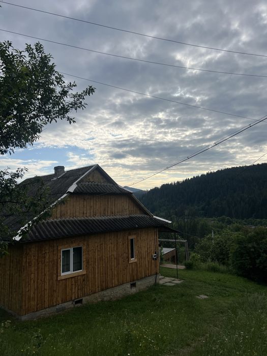 Відпочинок в Карпатах( окремий будинок без підселення та власників)