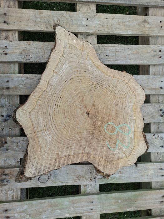 Plaster dębowy na stolik kawowy, ławę