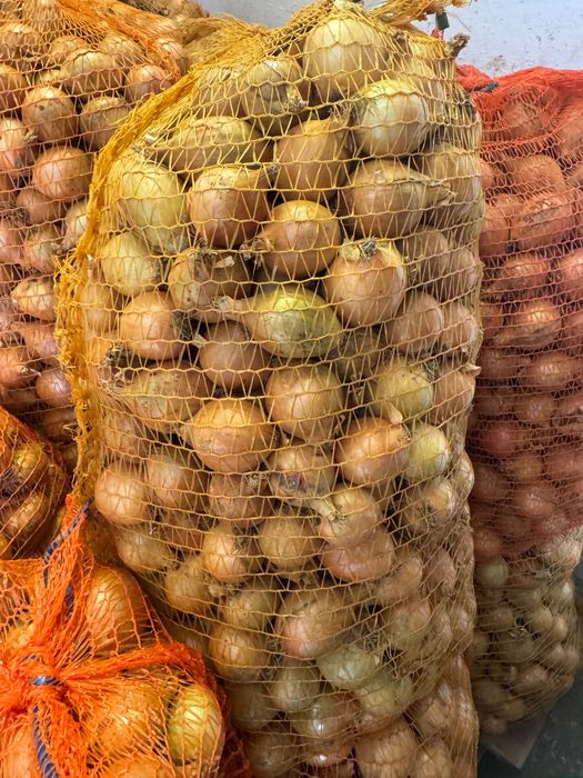 Sprzedam cebulę na worek