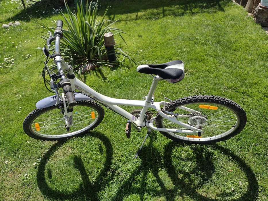 Giant taffy dla juniora.