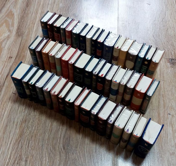 Шедевры мировой литературы в миниатюре