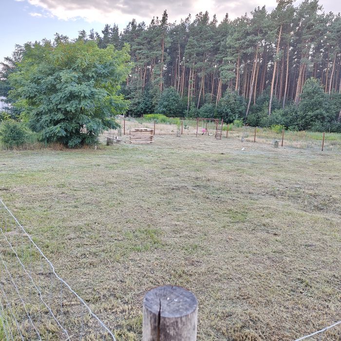 Działka budowlana pod lasem Wudzyn