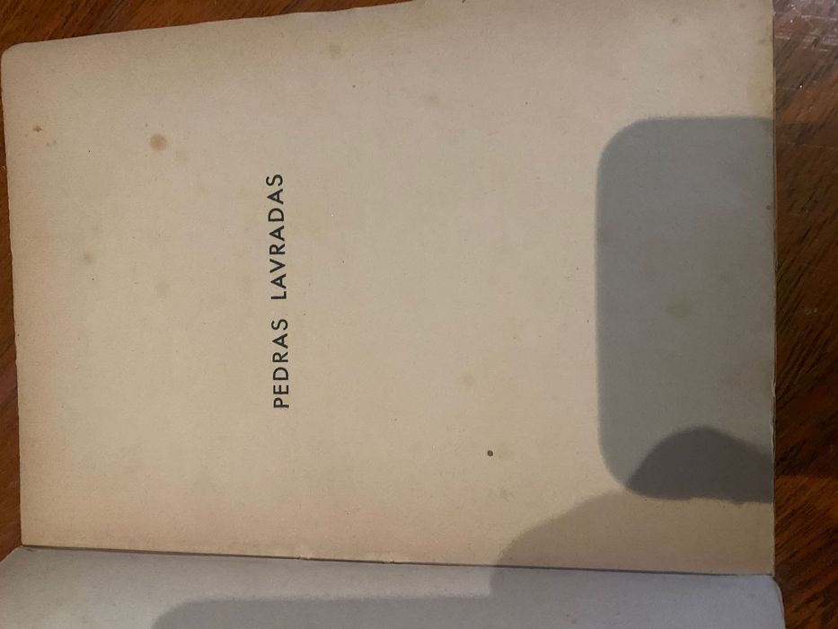 Livro pedras lavradas
