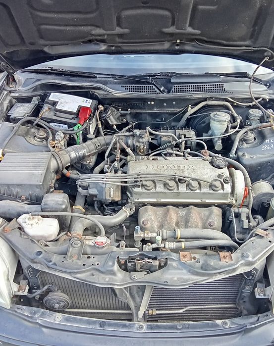 Civic Profile 1.4