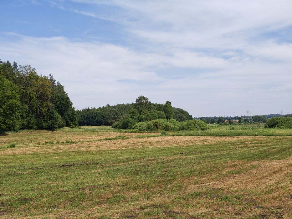Działka pod lasem