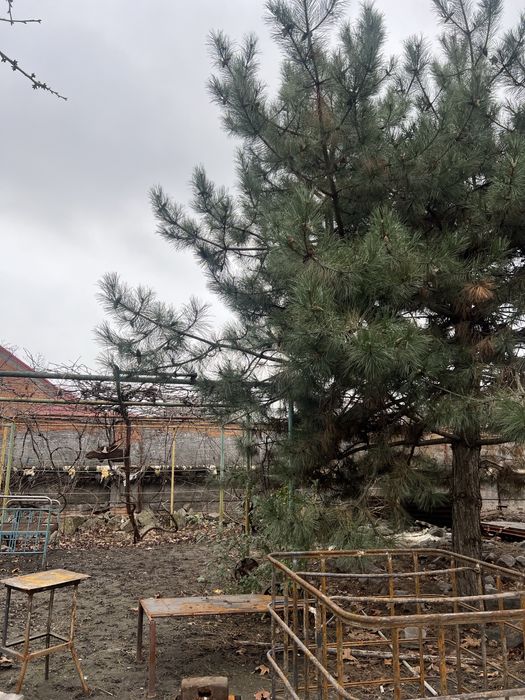 Оренда будинку на правому берзі