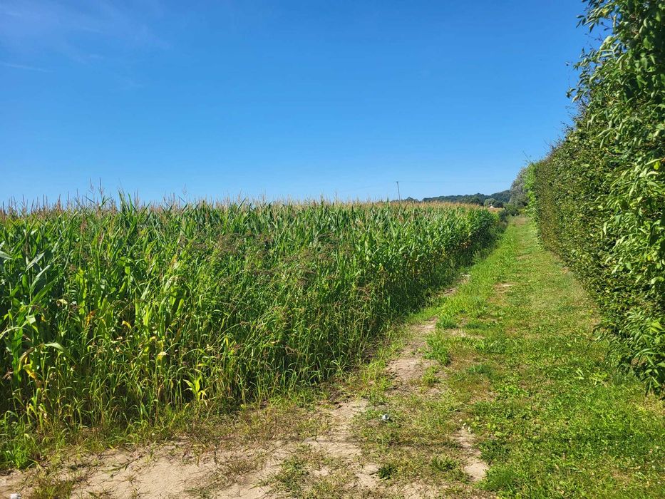 Działki budowlane Kaniczki - Widok 2
