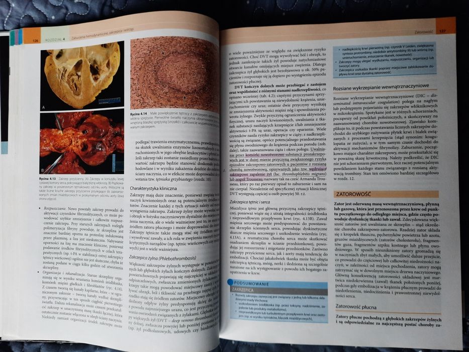 Robbins Patologia wyd. X