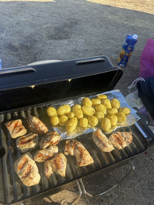Weber go anywhere gas гриль газовый