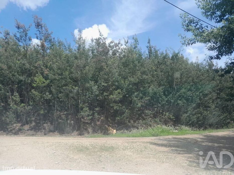 Terreno em Cortes do Meio